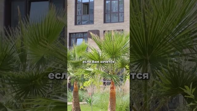 Новостройка или вторичка ? Что выбрать ?