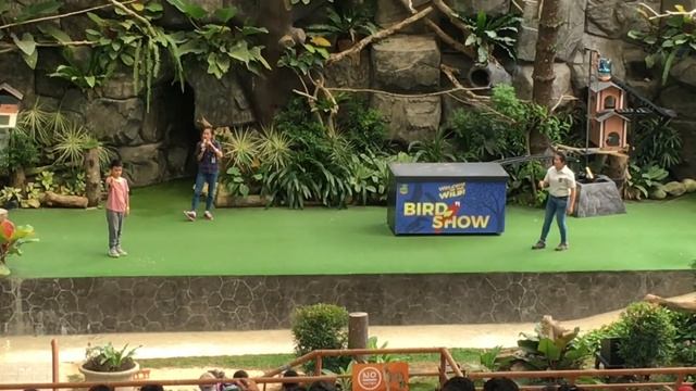 BIRD SHOW AT CEBU SAFARI ADVENTURE PARK смотреть онлайн