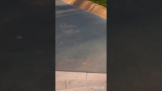 жк первый лермонтовский | придворовая территория