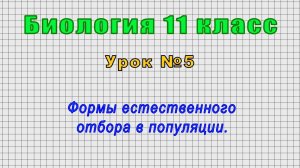 Биология 11 класс (Урок№5 - Формы естественного отбора в популяции.)