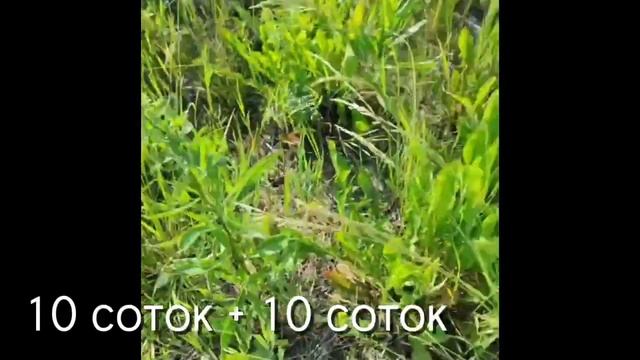 Продаётся земельный участок в направлении Тюменский тракт, р-н Гусева, ул. Брусничная смотреть онлайн