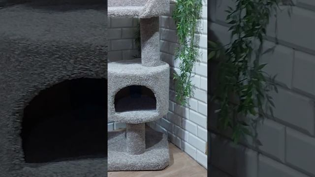 Обзор на домик. Цена 5'500₽, г. Иркутск смотреть онлайн