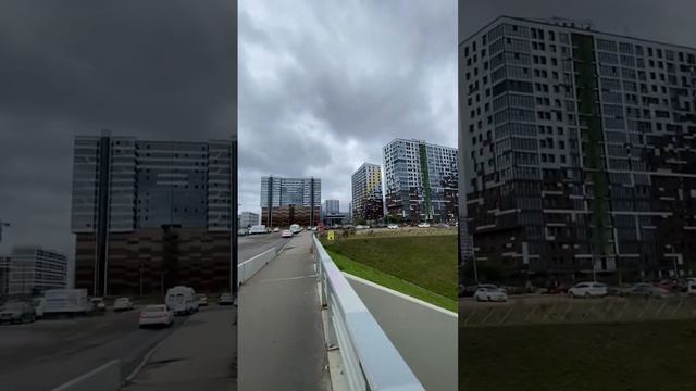 Намывные территории Васильевского острова🏗#инвестиции #купитьквартиру #недвижимость #риэлтор #спб смотреть онлайн