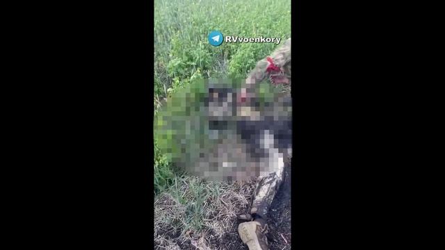 ⚡️СВО 18+ Подборка всушников которым не повезло смотреть онлайн