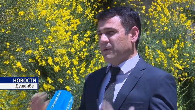 Панический страх перед вирусом смотреть онлайн