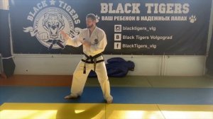 Программа аттестации на желтый пояс с зеленой полоской