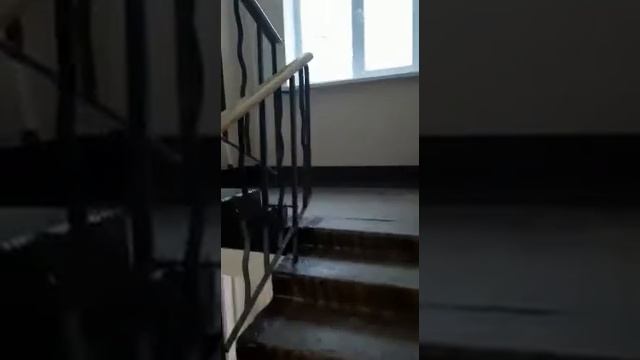 Уфа, Менделеева 213/2, 36. смотреть онлайн