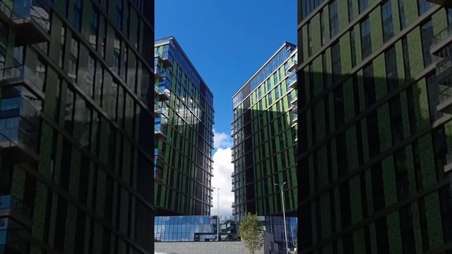 До 6 млн. готовый новый ЖК в Москве, осенью ключи! Бизнес-класс у МФТИ #недвижимость смотреть онлайн