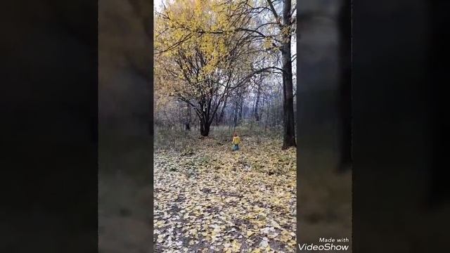 Осень 2018, в Путилково смотреть онлайн