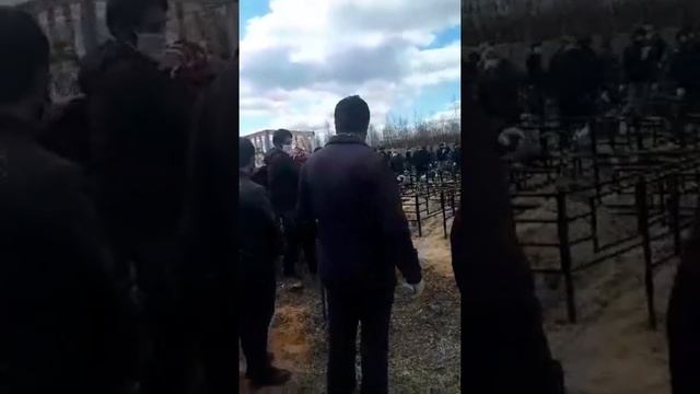 раменская район каранавирус туфайли канча одам улди смотреть онлайн