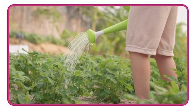 Vocabulary presentation 07-04_water the plants смотреть онлайн