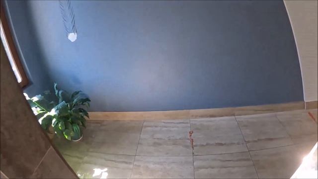 Обзор отеля Альбатрос в Адлере ул. Просвещения, 169 смотреть онлайн