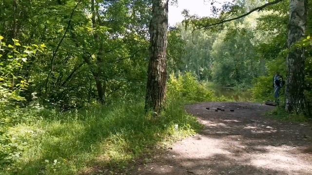 Петропавловский парк Ярославля смотреть онлайн