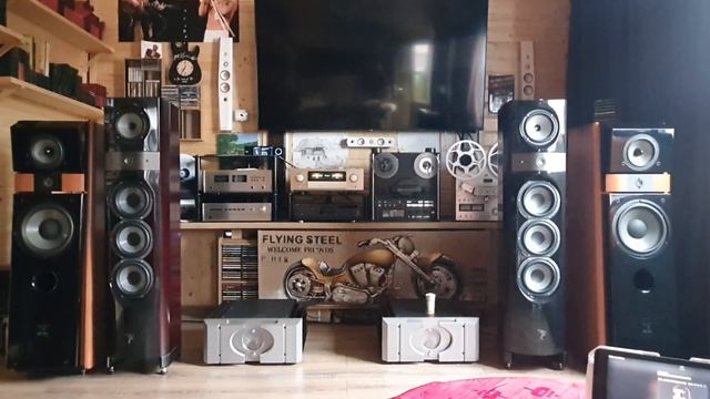 Accuphase E 308, Eversolo DMP A6, Focal Mezzo Utopia
