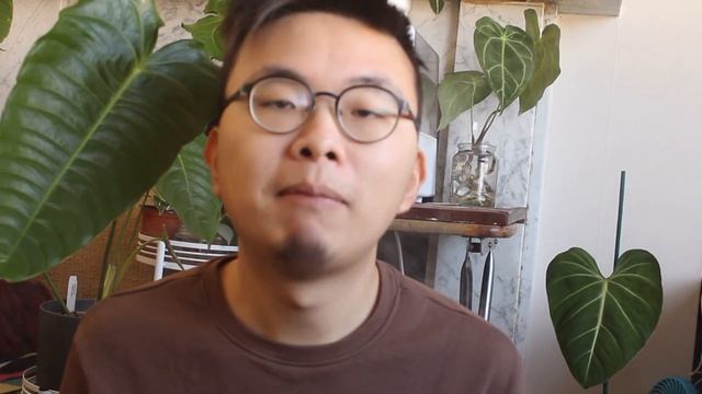 Ecuagenera Unboxing Of A RARE Plant Collection