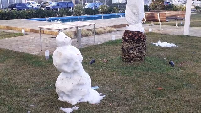 Снеговик Яша.Короткая жизнь в Сочи смотреть онлайн