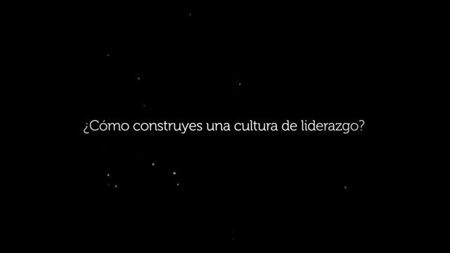 T2O WOBI on Leadership, Mettaliderazgo un nuevo paradigma Introduccion 1 ROBERTO MOUREY abril 2014 смотреть онлайн