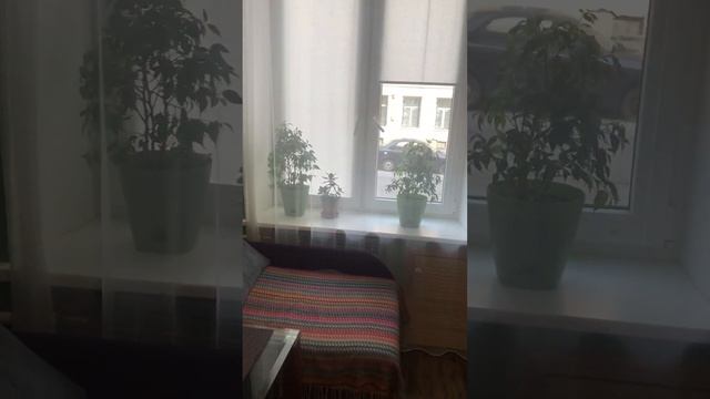 видеопоказ квартиры в Санкт-Петербурге, ул. Воронежская 59/61 смотреть онлайн