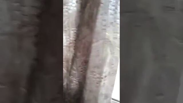 2-комнатная Зяб 18/70 смотреть онлайн