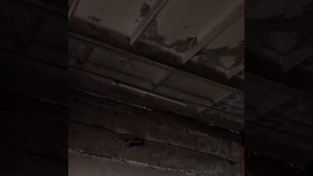 Фирма электрик (наши работы) работаем в городе Брянске и области. Наш тел 89532801701 и 89102381977 смотреть онлайн