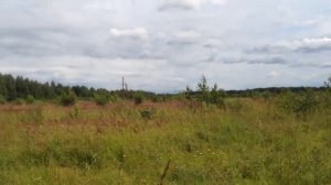 Стоимость сельскохозяйственной земли в Крыму