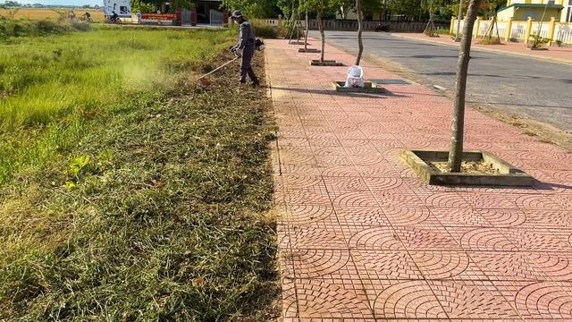 Behind the overgrown grass next to the sidewalk is a clean school смотреть онлайн