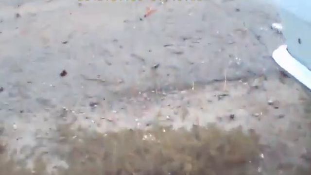 Луганск кв Южный смотреть онлайн