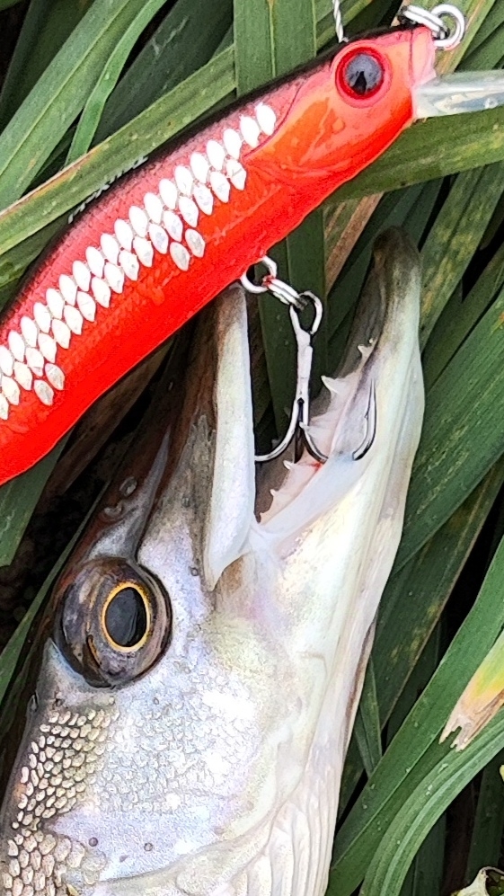 Осенняя щучка. смотреть онлайн