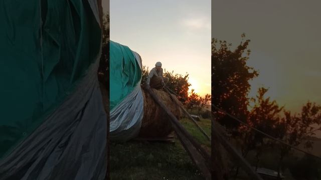 Россию не победить 🇷🇺, русские женщины 💪! #деревня смотреть онлайн