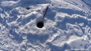 Натаскали рыбы в глухозимье. Хапуги снова порадовали.