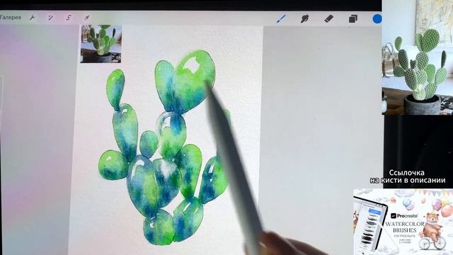Как нарисовать кактус акварельными кистями в Procreate • Урок в Procreate