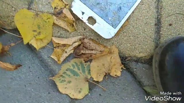 Кидаємо айфон з 2 поверху смотреть онлайн