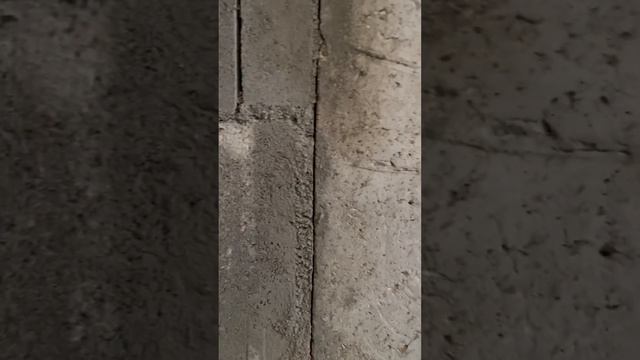 Подставы от застройщика #ремонтквартир #отделка #отделкаквартир #ремонт #треш #застройщик #демонтаж смотреть онлайн