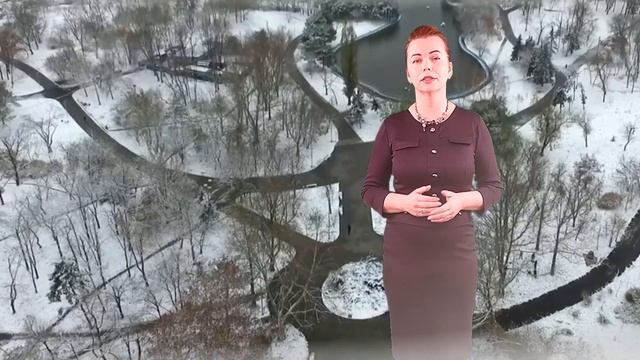 РИЕЛТОР ВИДЕОМАРКЕТЕР : Отзыв Ирины Щучко для Гоши Логинова смотреть онлайн