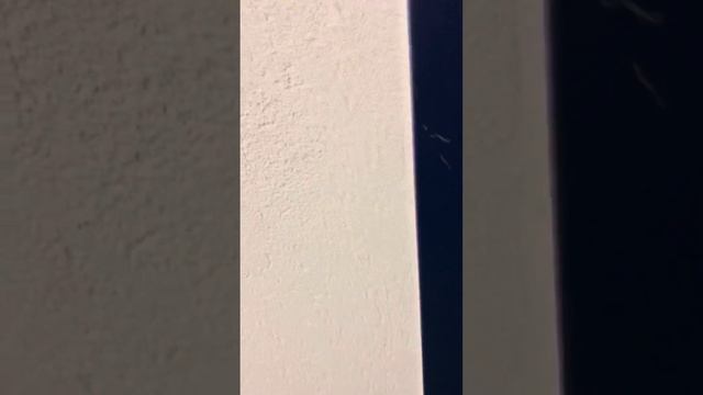 26 июня 2024 г. смотреть онлайн