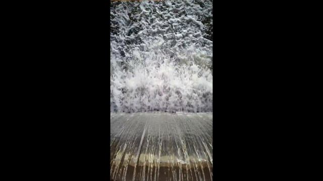 Лошицкий парк смотреть онлайн