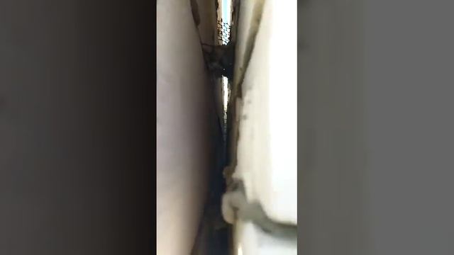 Знаменский