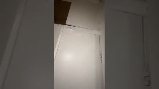 Двухкомнатная квартира по адресу: г. Уфа, Орджоникидзевский, ул. Коммунаров, д. 75 смотреть онлайн