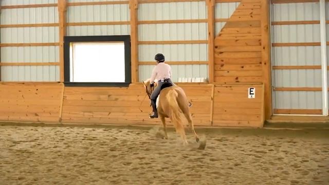 Some Horse are Uncomfortable to Ride - A Specific Example and How to Help смотреть онлайн