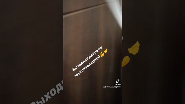 Входная дверь для квартиры с отличной звукоизоляцией, изготовление индивидуально, установка.#входна смотреть онлайн
