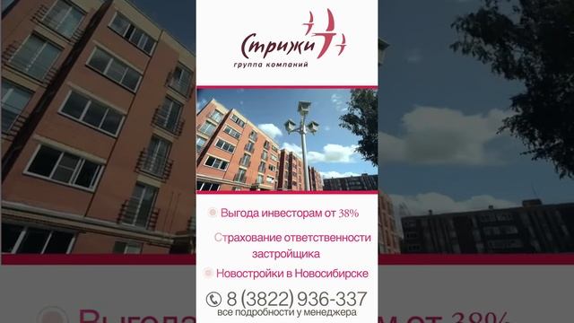 Реклама для видеостенда. Микрорайон "Стрижи", г. Новосибирск. смотреть онлайн