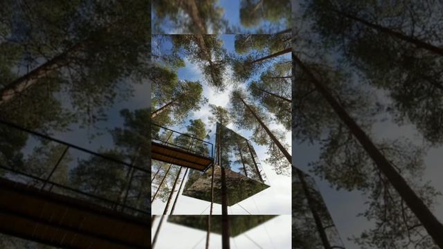 ЗЕРКАЛЬНЫЙ ДОМ ДЛЯ ЛЮДЕЙ... смотреть онлайн