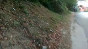 Отдых в Лоо в гостевом домике Ирина