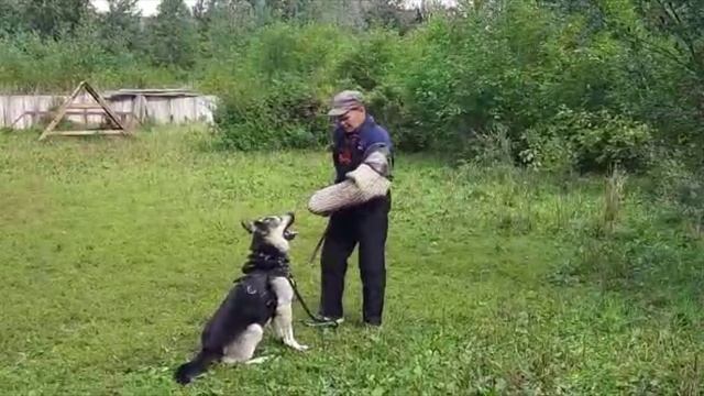 Барвиттера Тродос