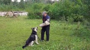 Барвиттера Тродос