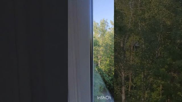 Пушкин, 3-х комнатная квартира смотреть онлайн