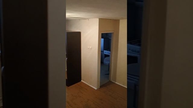 1к квартира 29 м2 Екатеринбург Щербакова 3/4. смотреть онлайн