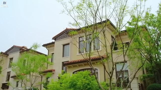 總裁為了小三和黃臉婆妻子離婚，不料破產後小三真面目露出，總裁後悔了！