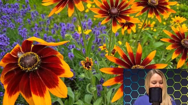 Забыв папку с документами на развод, Кира вернулась в больницу. Но услышав разговор двух её коллег. смотреть онлайн