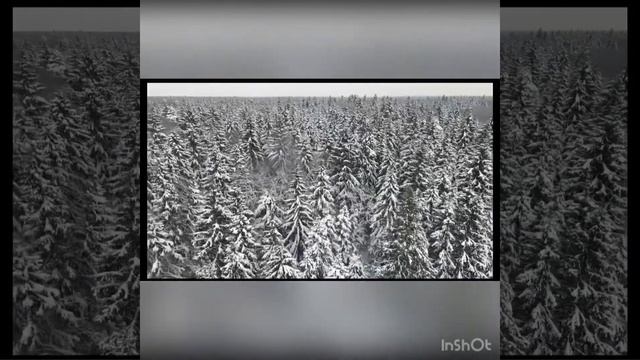 Поселение Первомайское Mavic Air 2 смотреть онлайн